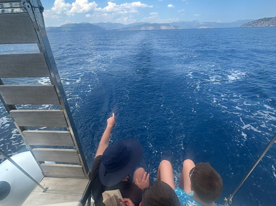 Alegria Yachting Sailing Trips-阿里莫斯必去景点