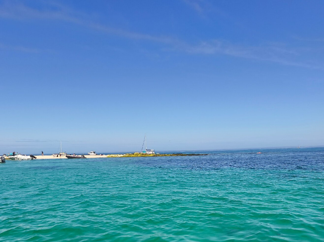 Glénan Découverte-Tregunc必去景点