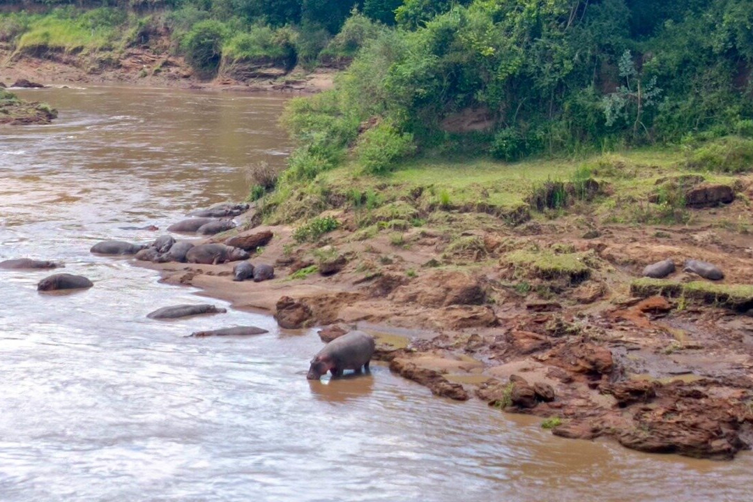 Avadan Safaris Ltd-内罗毕必去景点