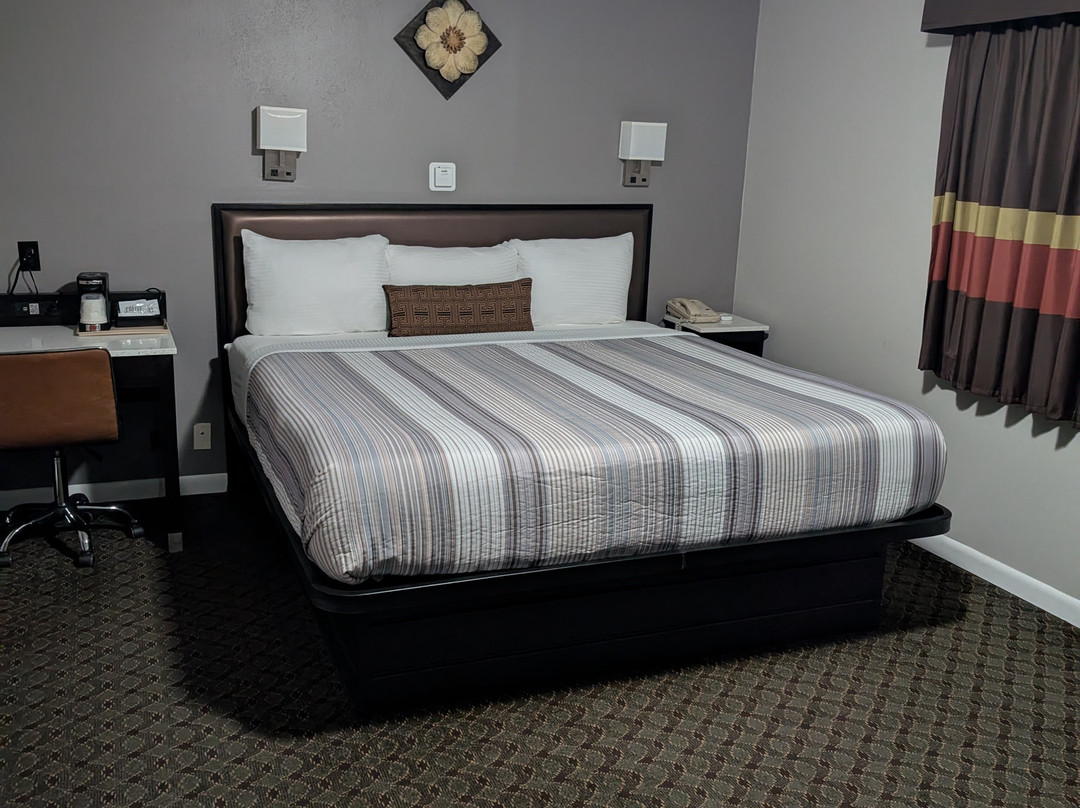 Scottish Inns Milford主图