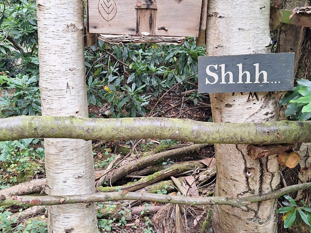 Northwood Trail – England’s Fairy Sanctuary-约克必去景点