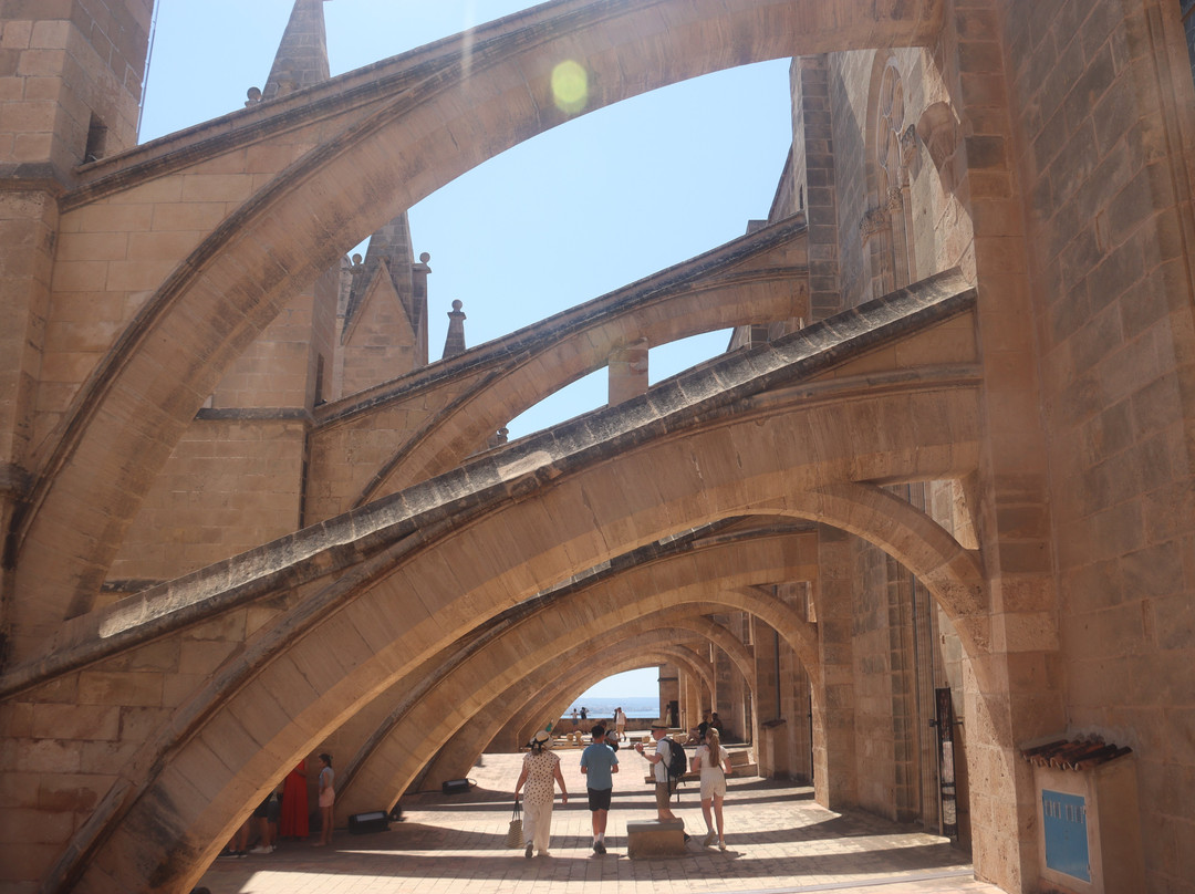 Terrazas de la Catedral de Palma-马洛卡帕尔马必去景点