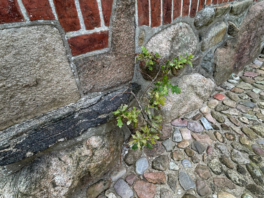 Ringkøbing kirke-灵克宾必去景点