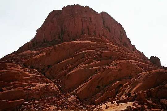 M.A.D Travel & Tours