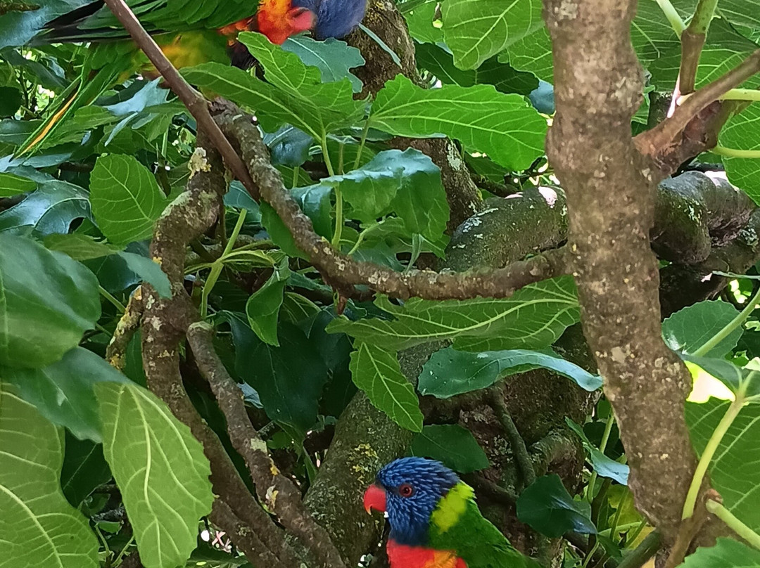 Zoo des Sables-莱萨布勒多洛讷必去景点