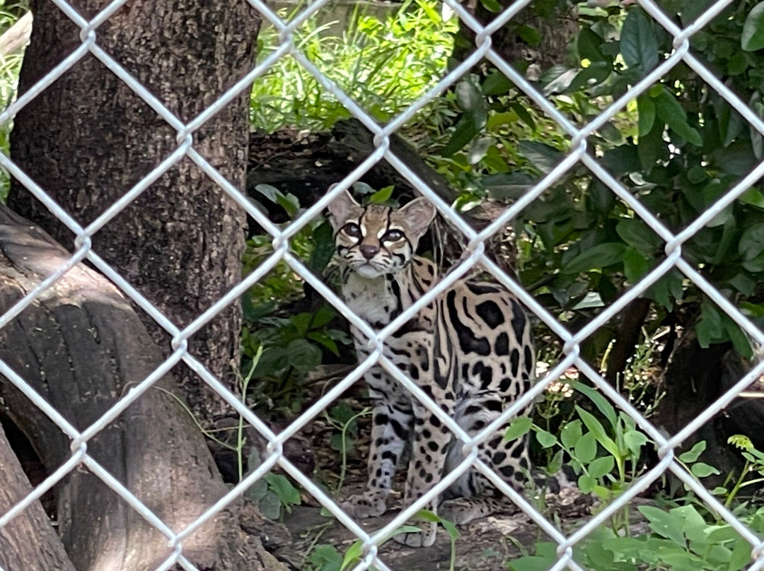 Centro de Rescate Las Pumas-Canas必去景点