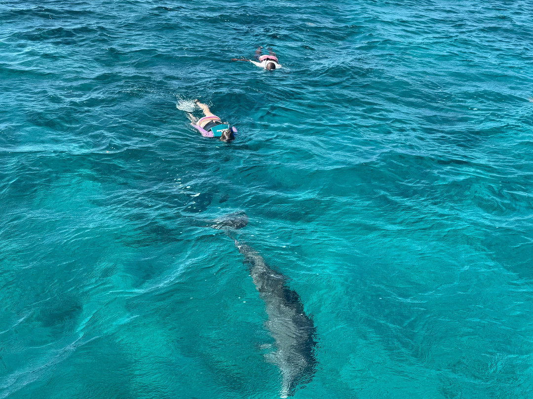 Kenard Cruises-普罗维登西亚莱斯必去景点