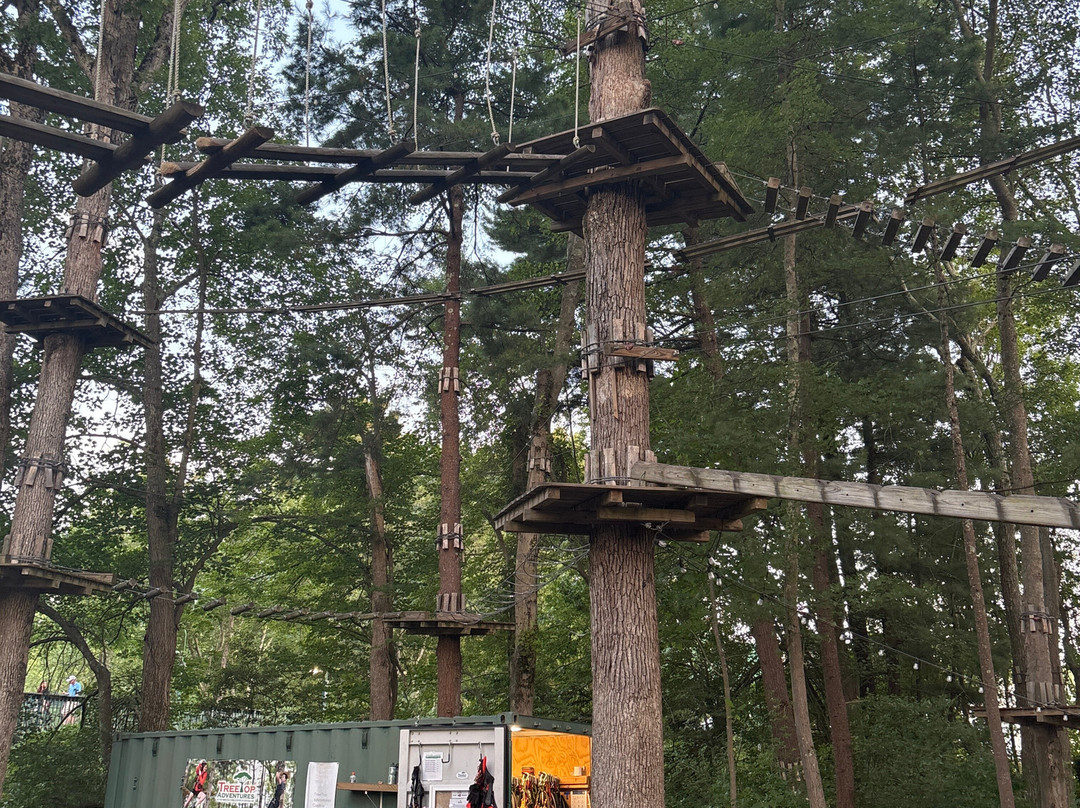 TreeTop Adventures Canton-Canton必去景点