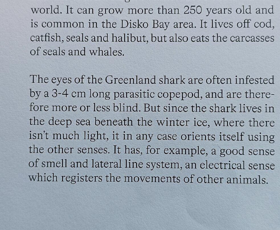 Kangiata Illorsua - The Icefjord Centre-伊卢利萨特必去景点