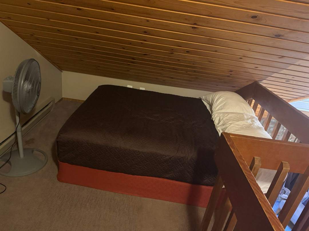 LOGE Alta Crystal主图