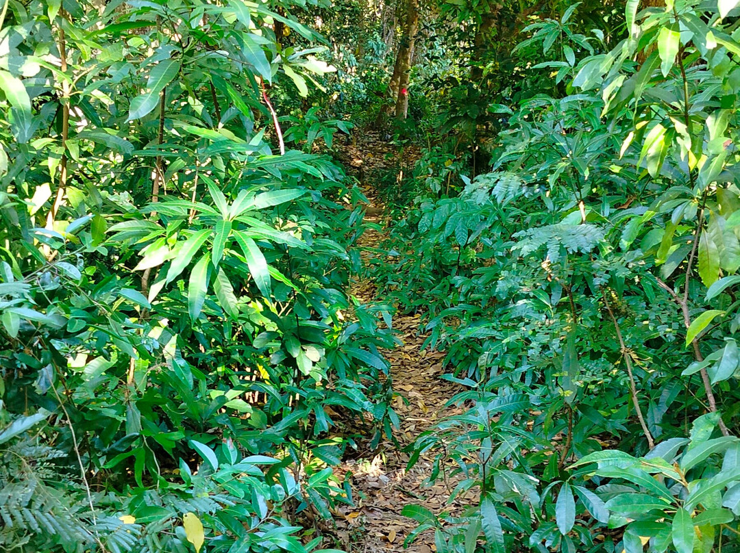 Nosy Sakatia-诺西贝必去景点