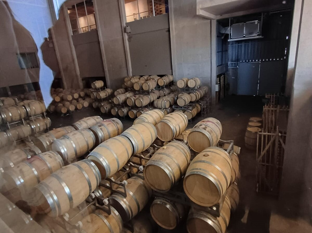 Bodega Budeguer-阿格雷洛必去景点