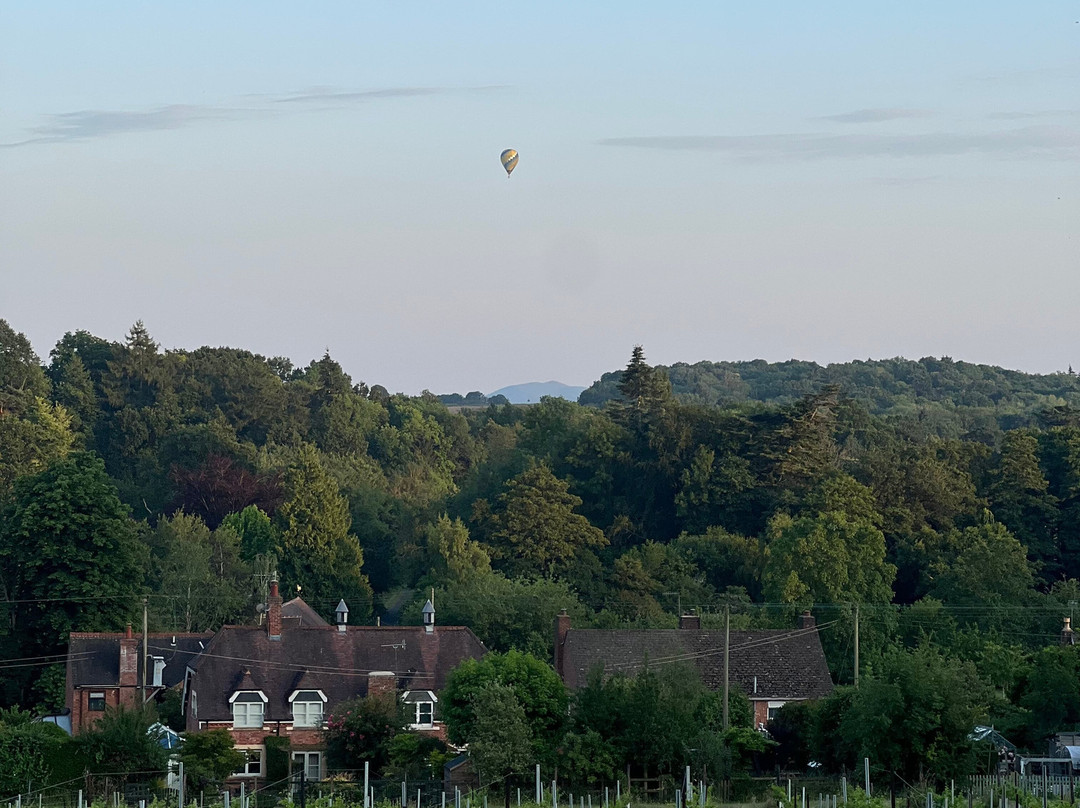 Abberley Hills Vineyard-Great Witley必去景点