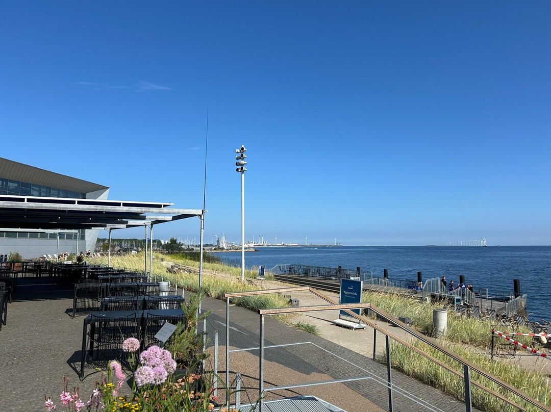 丹麦国家水族馆-哥本哈根必去景点