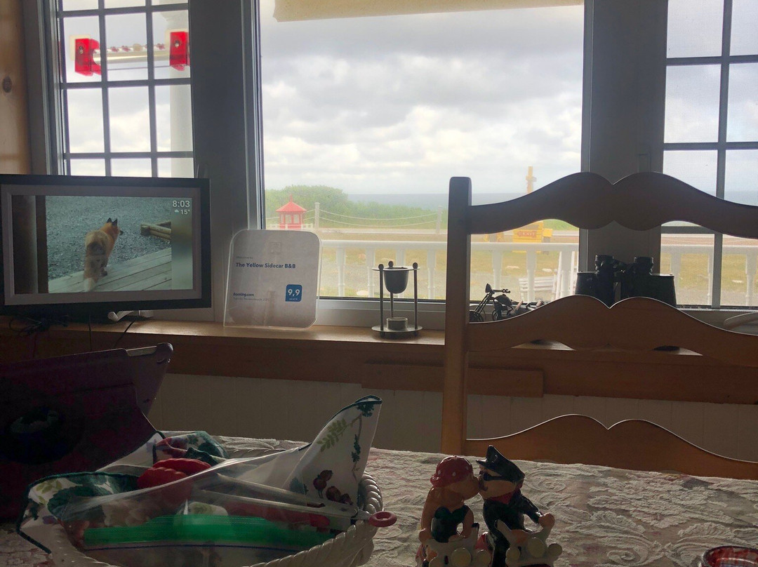 The Yellow Sidecar B & B主图