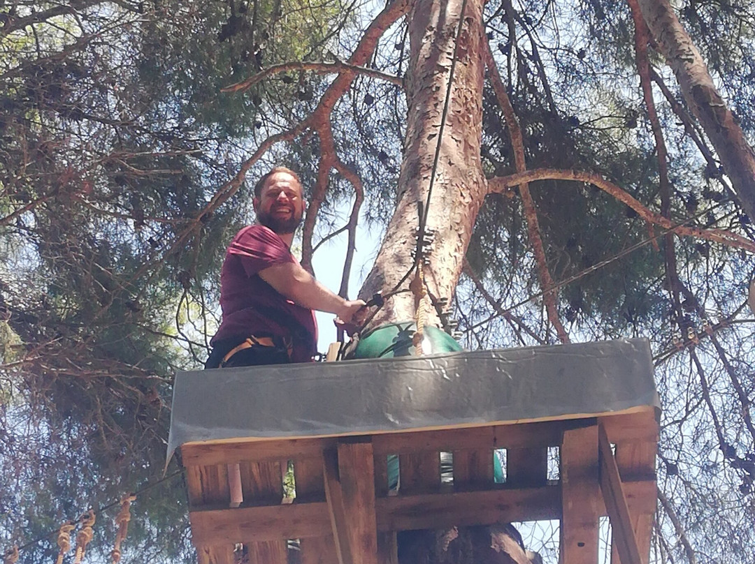 Jungle Trek-塔拉戈纳必去景点