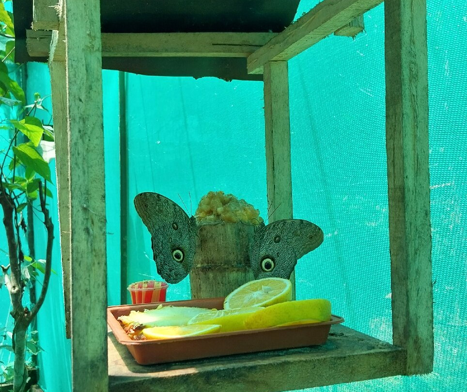 Centro Urku-Tarapoto必去景点