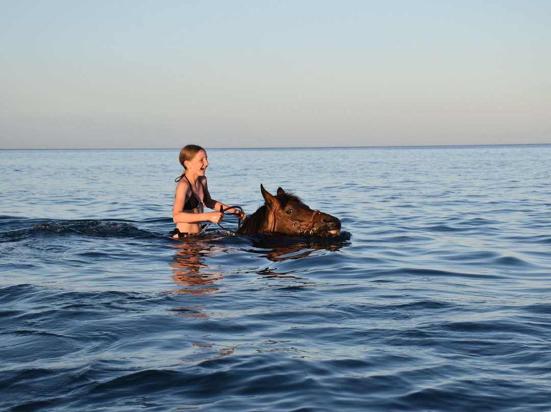 A&E Elpida Ranch-罗德城必去景点
