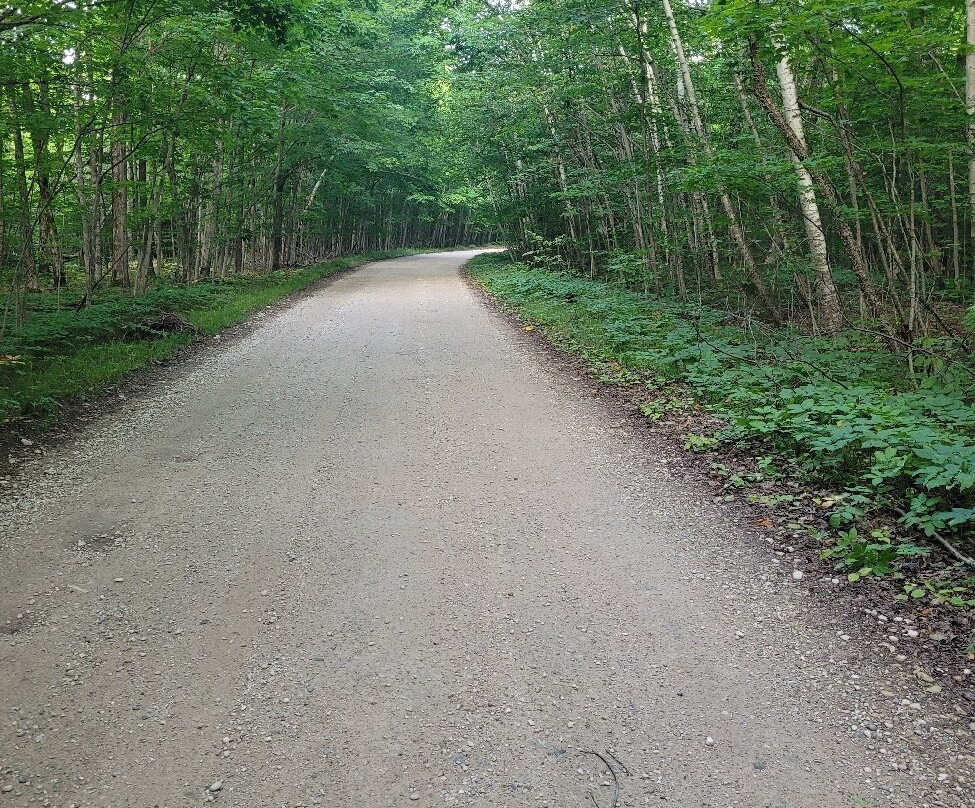 Happy Paddle-Beaver Island必去景点