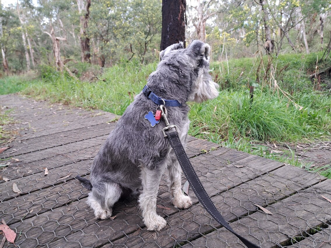 Nortons Park-旺加拉塔必去景点