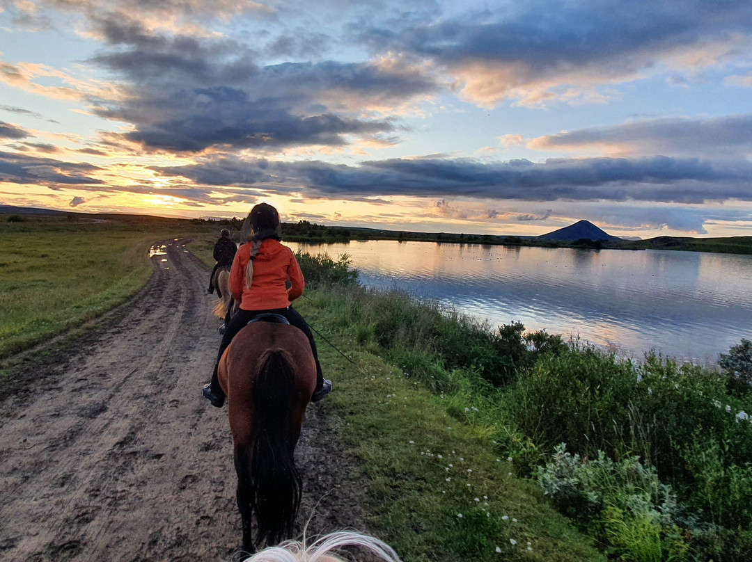 Safari Horse Rental-米湖必去景点