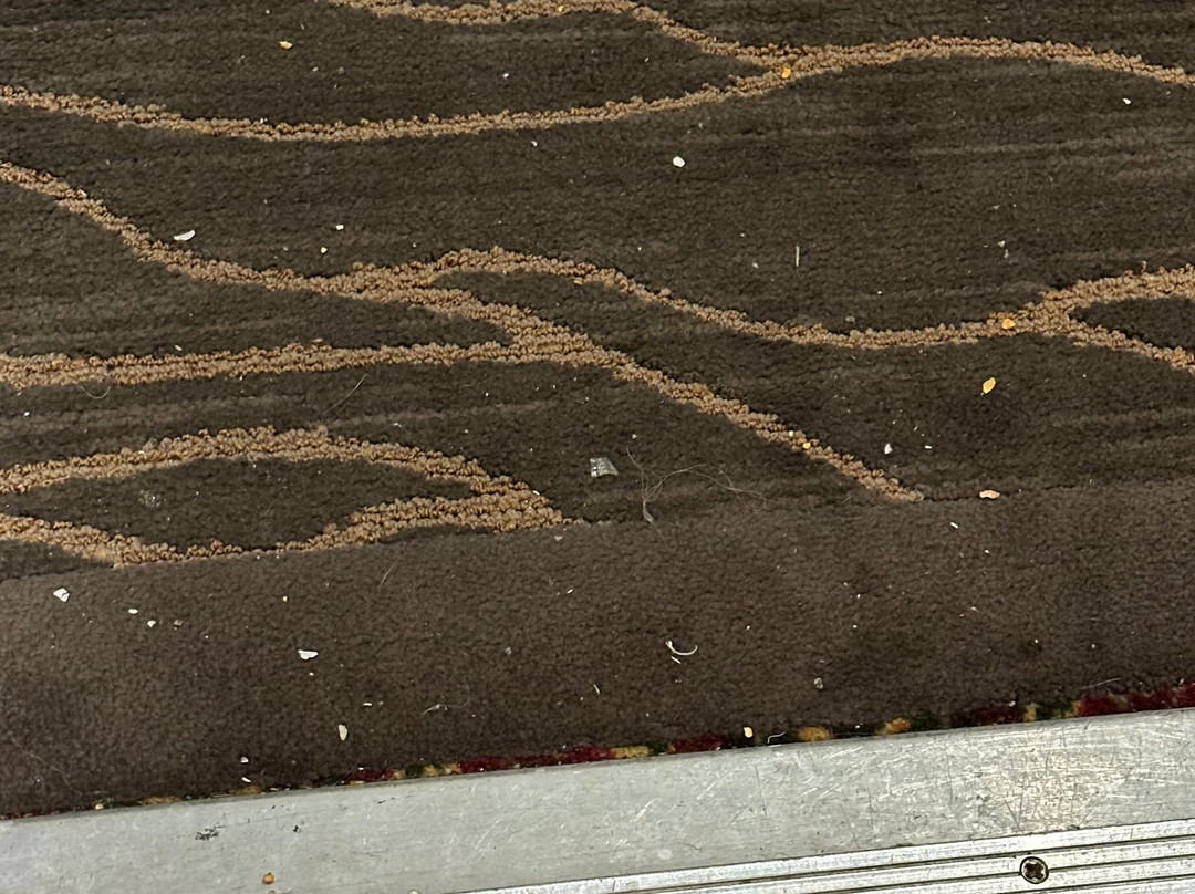 贝斯特韦斯特山景旅馆主图