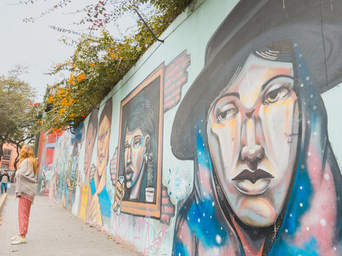 Lima by Walking Free City Tour-利马必去景点