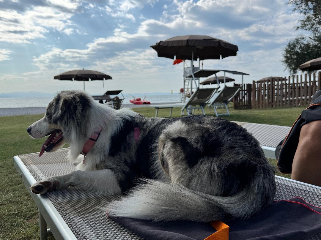 La Spiaggia Di Pippo Marina Julia-Marina Julia必去景点