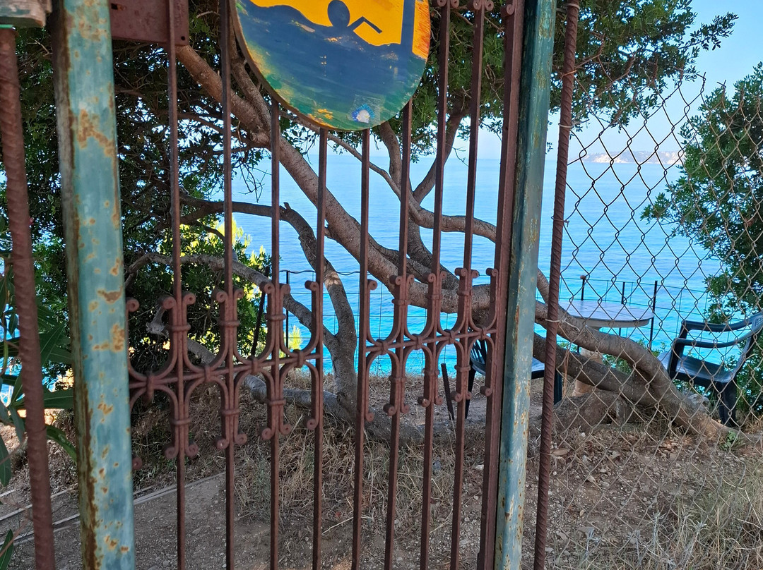 Stella Vineyard Studios主图