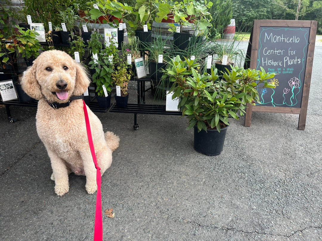 Jefferson Vineyards-夏洛茨维尔必去景点