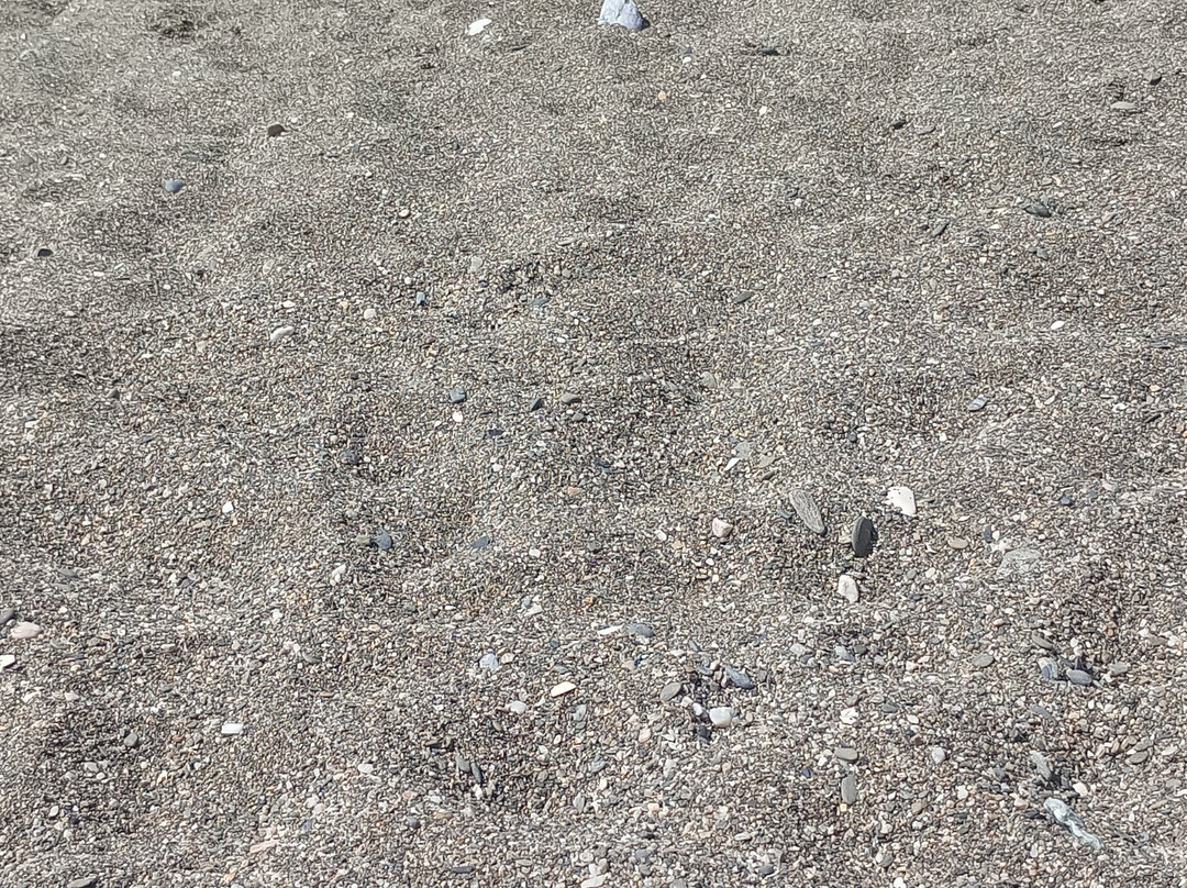 Palya de Benajarafe-Benajarafe必去景点