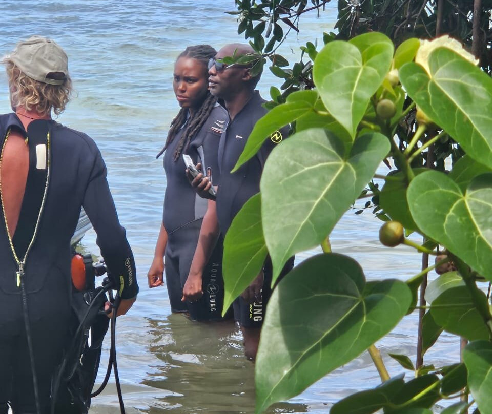 Ti'bulles-Grand Bourg必去景点