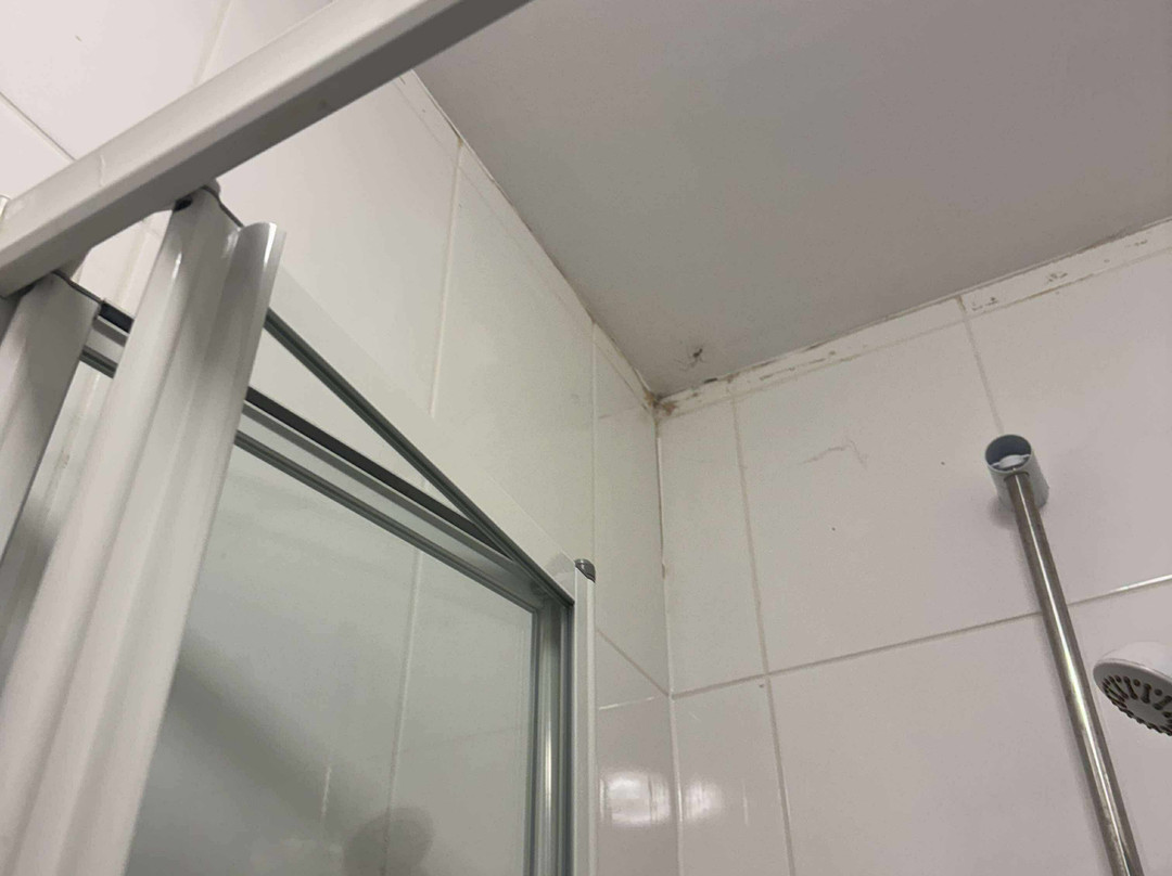 Clifton Hotel Newcastle主图