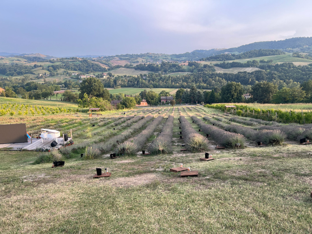 Province of Reggio Emilia旅游景点-Azienda Agricola Valtresinaro