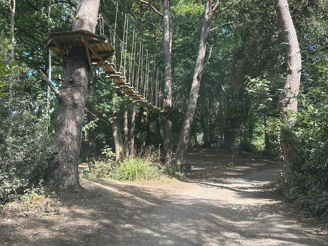 Avon Tyrrell Outdoor Activity Centre-Bransgore必去景点