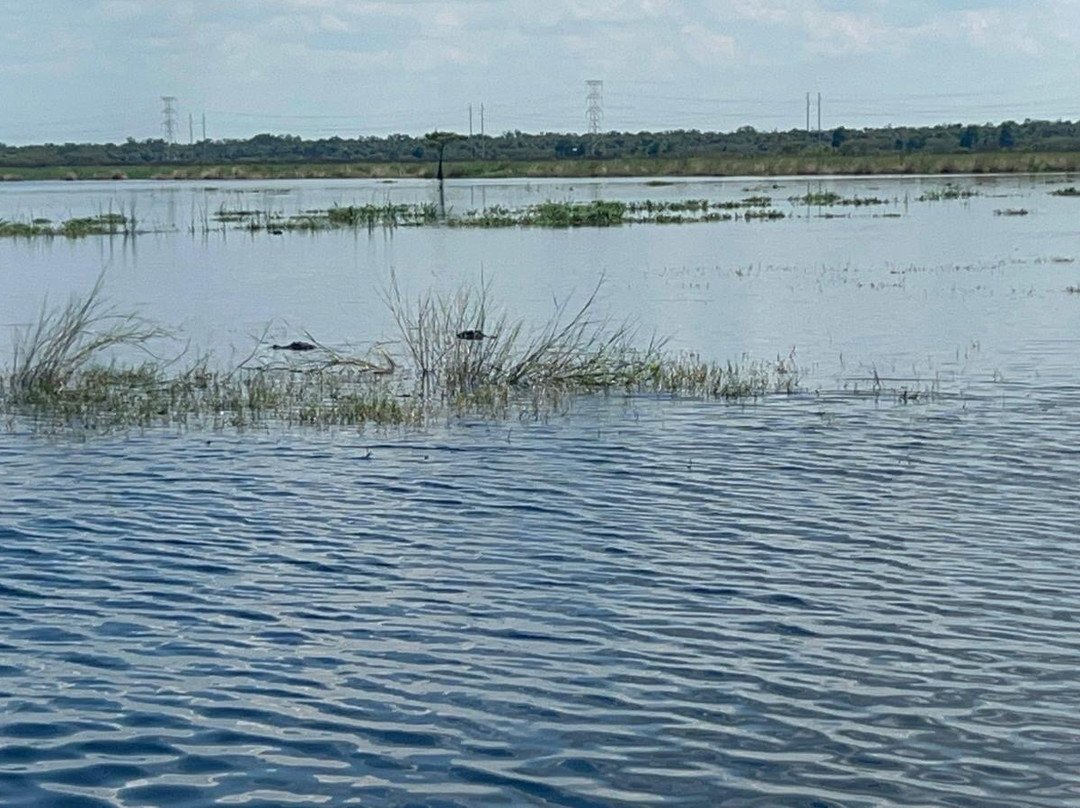 AirBoat Rides at Midway-Christmas必去景点