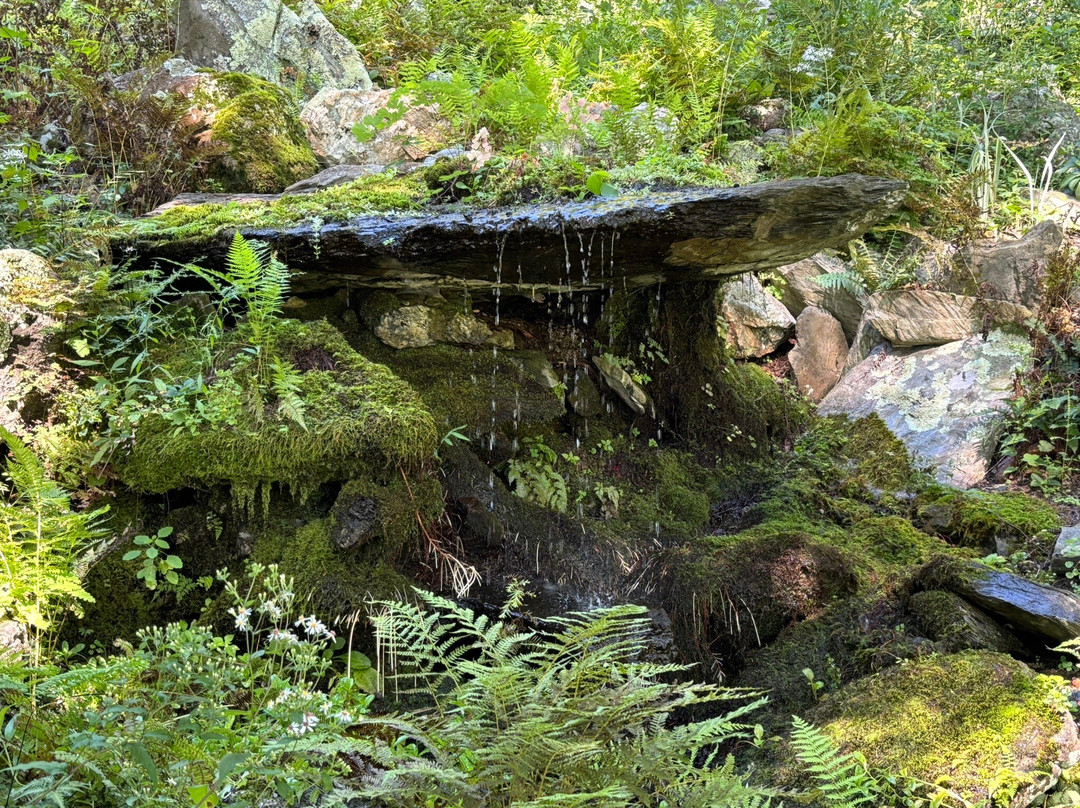 Innisfree Gardens-Millbrook必去景点