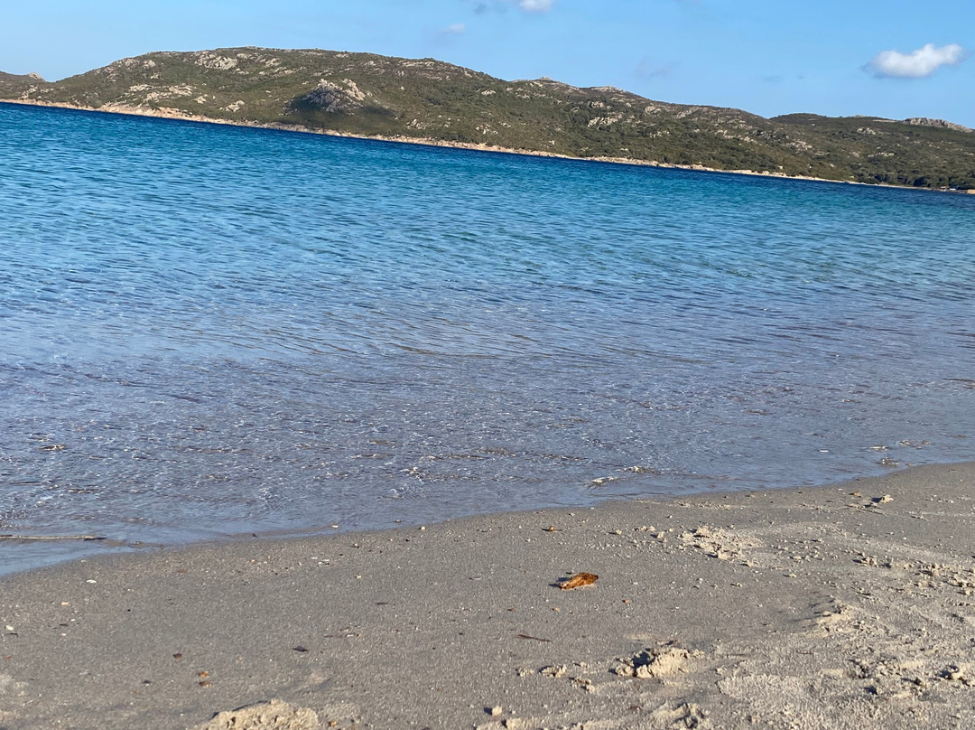 Plage de Canetto-博尼法乔必去景点