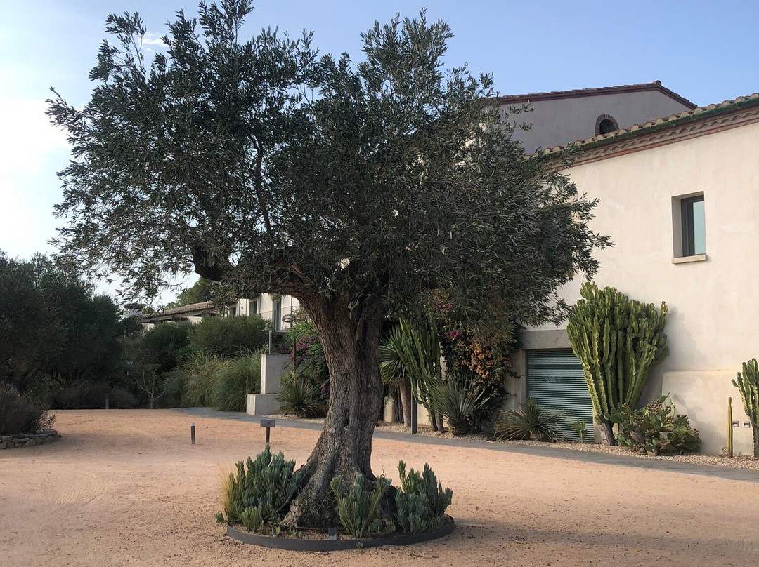 Hotel Mas Lazuli主图