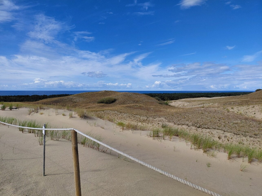 The Dead Dunes-Pervalka必去景点