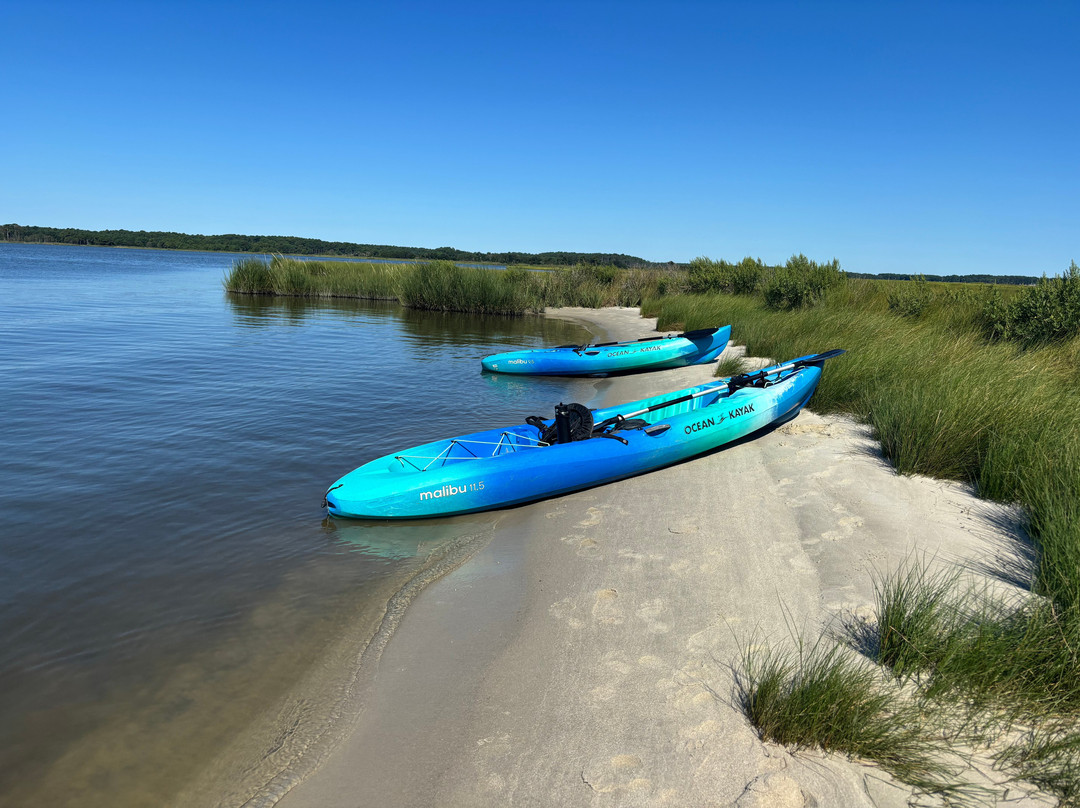 Coastal Kayak-Fenwick Island必去景点