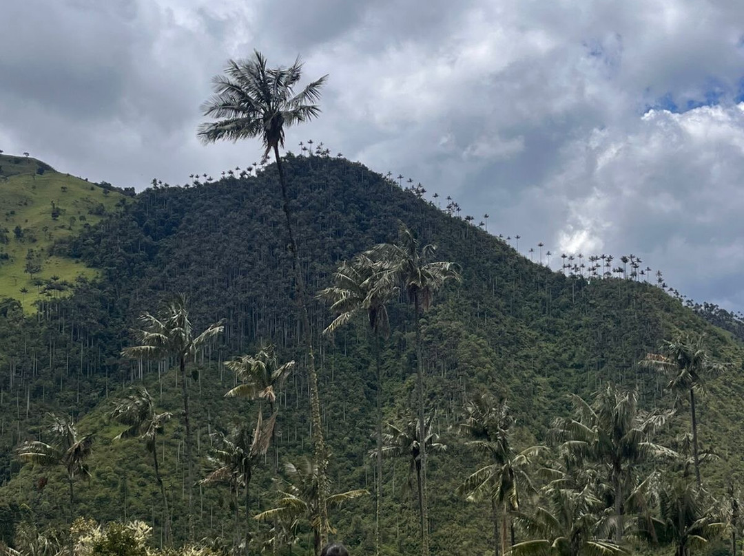 5to Elemento Tours-Boquia必去景点