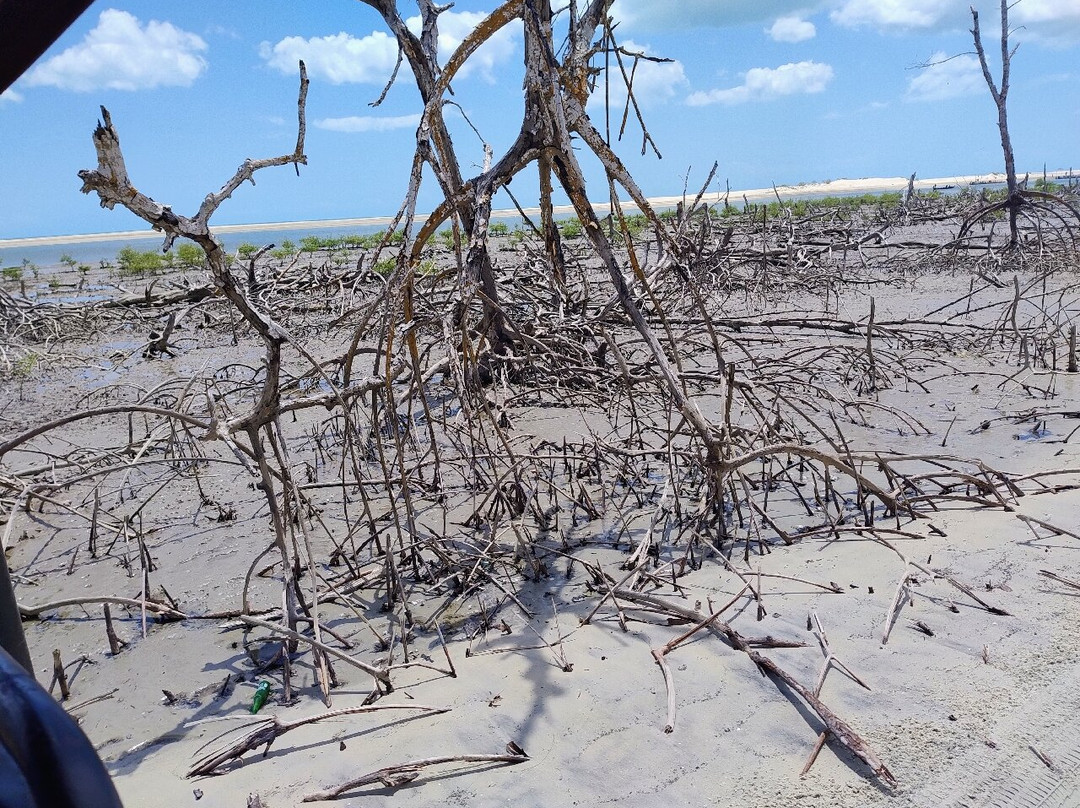 Simborajeri Turismo-杰里科科拉必去景点