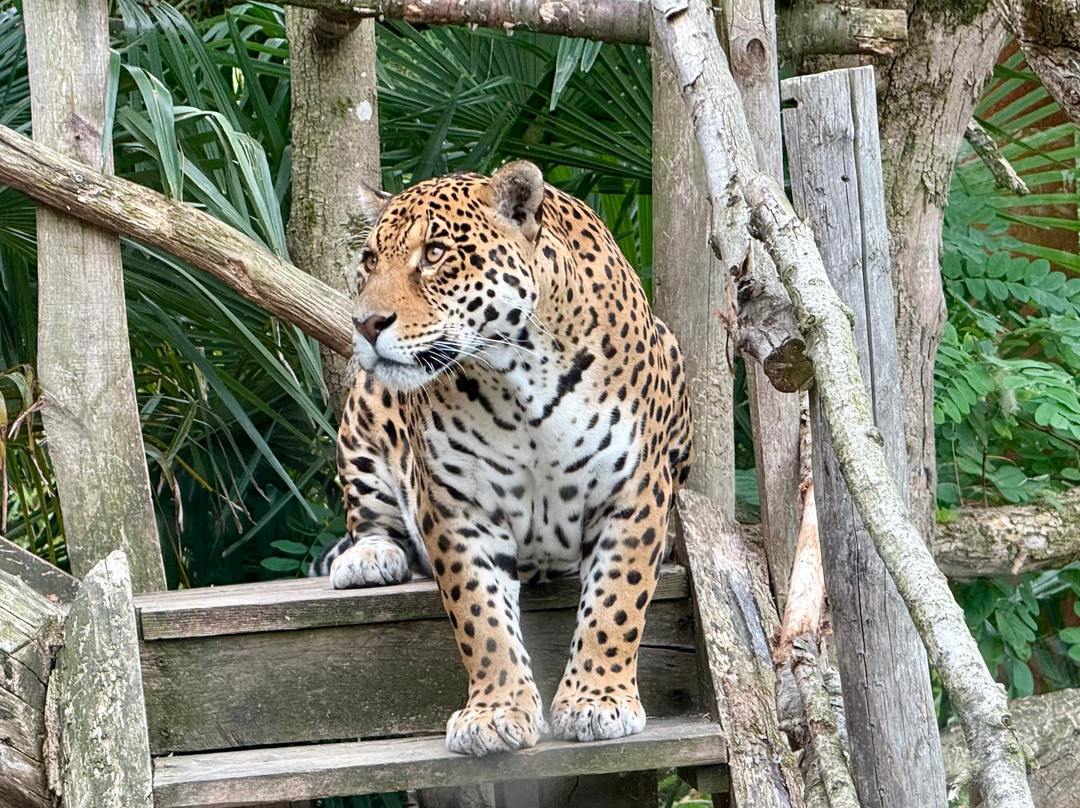 Parrot World-Crecy-la-Chapelle必去景点