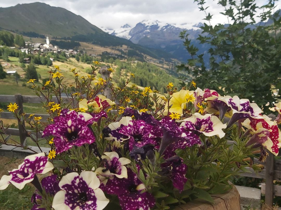 Hotel Alpe Fleurie主图
