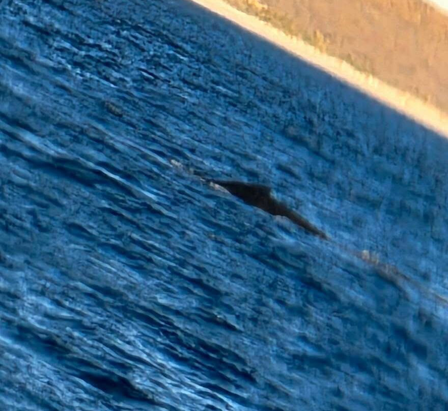 Ningaloo Coral Bay Boats-珊瑚湾必去景点