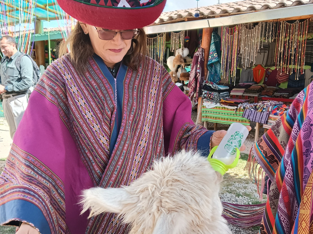 Castelo's Expeditions-库斯科必去景点