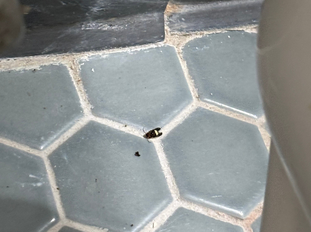 Handkerchief Shoals Inn主图