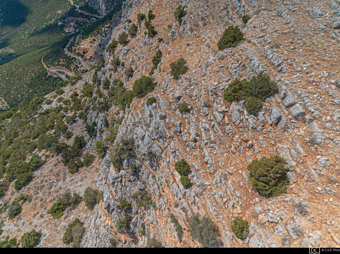 Paragliding Fun-德尔斐必去景点