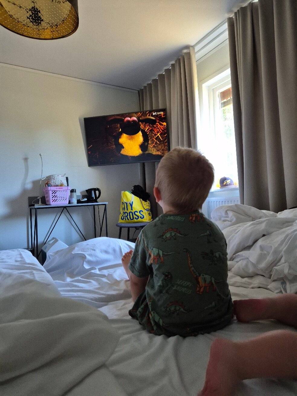 Wisingso Hotel & Konferens-官方